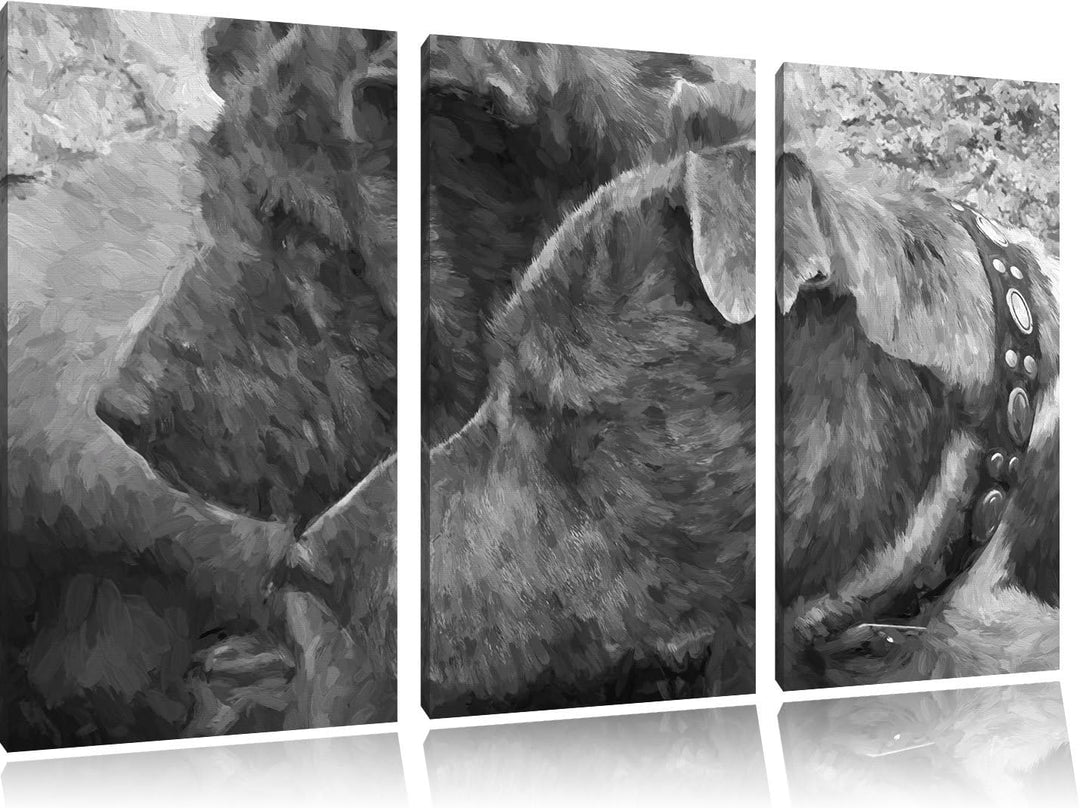 zwei Hunde im Profil NewArt 3-Teiler Leinwandbild 120x80 Bild auf Leinwand, XXL riesige Bilder ferti