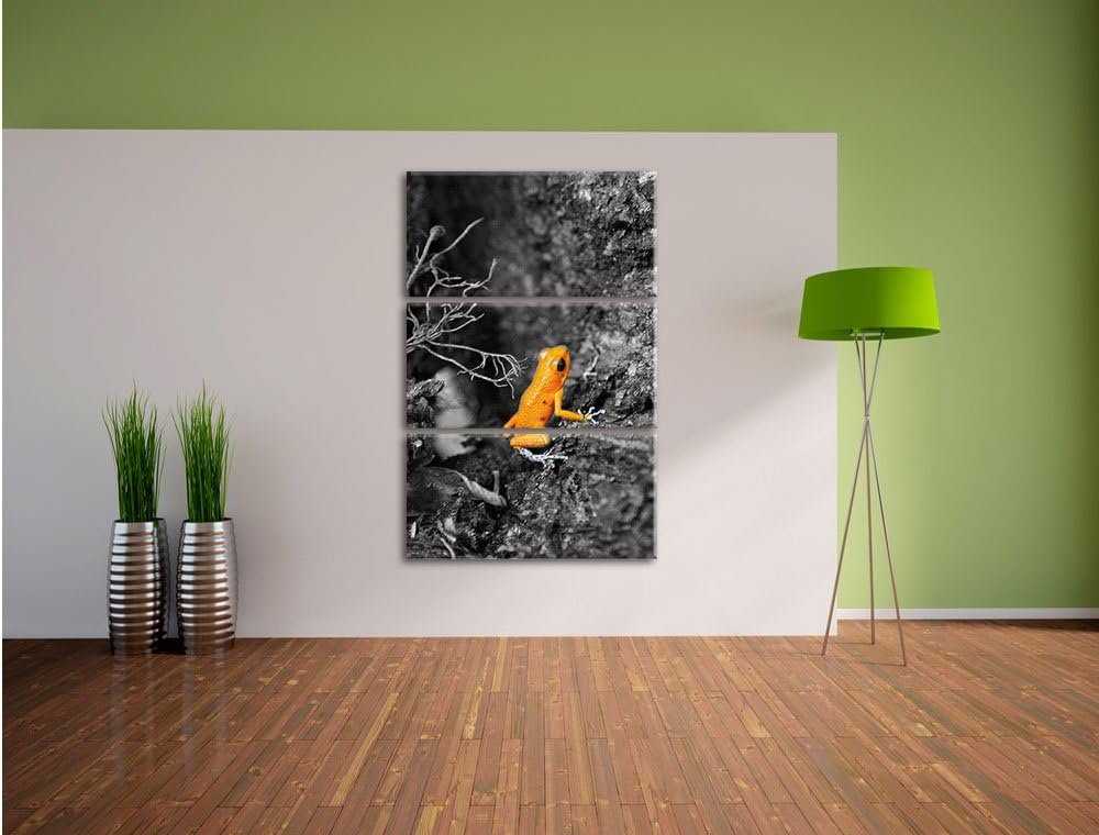 Pixxprint giftiger Kleiner Frosch als Leinwandbild/Grösse: 3 Teilig (120x80) / Wandbild/Kunstdruck/f
