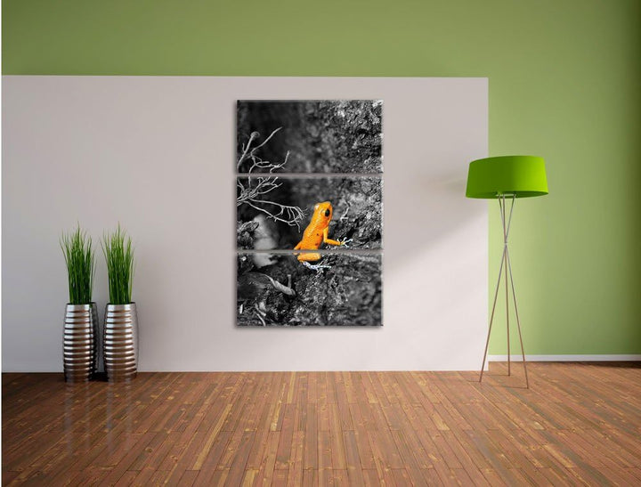 Pixxprint giftiger Kleiner Frosch als Leinwandbild/Grösse: 3 Teilig (120x80) / Wandbild/Kunstdruck/f