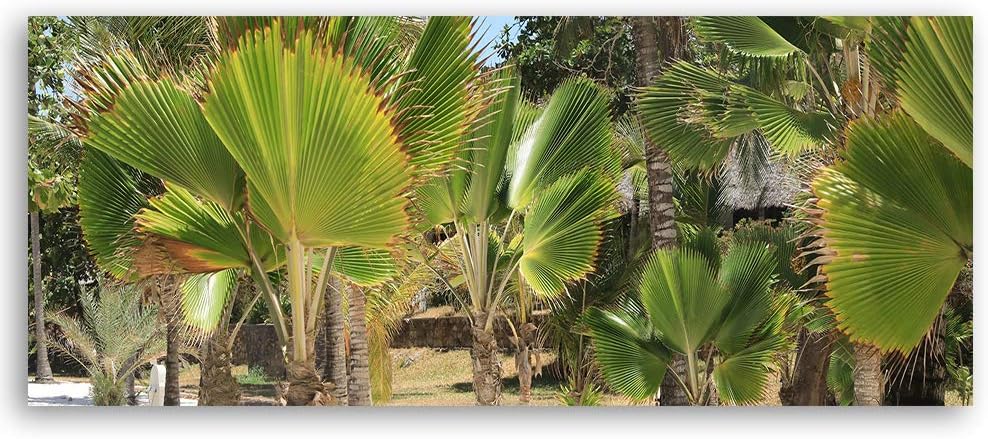 Wandbild XXL Blätter Deko Kunst Bilder Natur Grün 150x50 cm Deko paneel 150x50 cm Grün_C, Deko panee