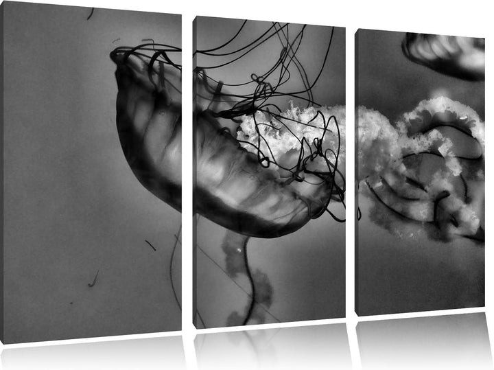 Pixxprint anmutige Qualle im Wasser als Leinwandbild/Grösse: 3 Teilig (120x80) cm/Wandbild/Kunstdruc