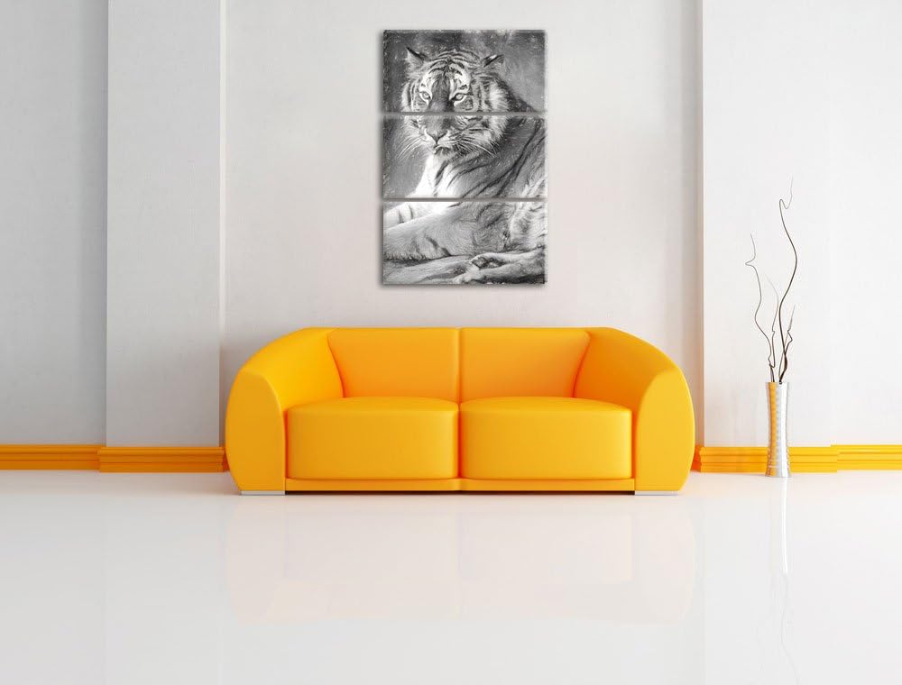 schöner Tiger beim Putzen Spezial 3-Teiler Leinwandbild 120x80 Bild auf Leinwand, XXL riesige Bilder