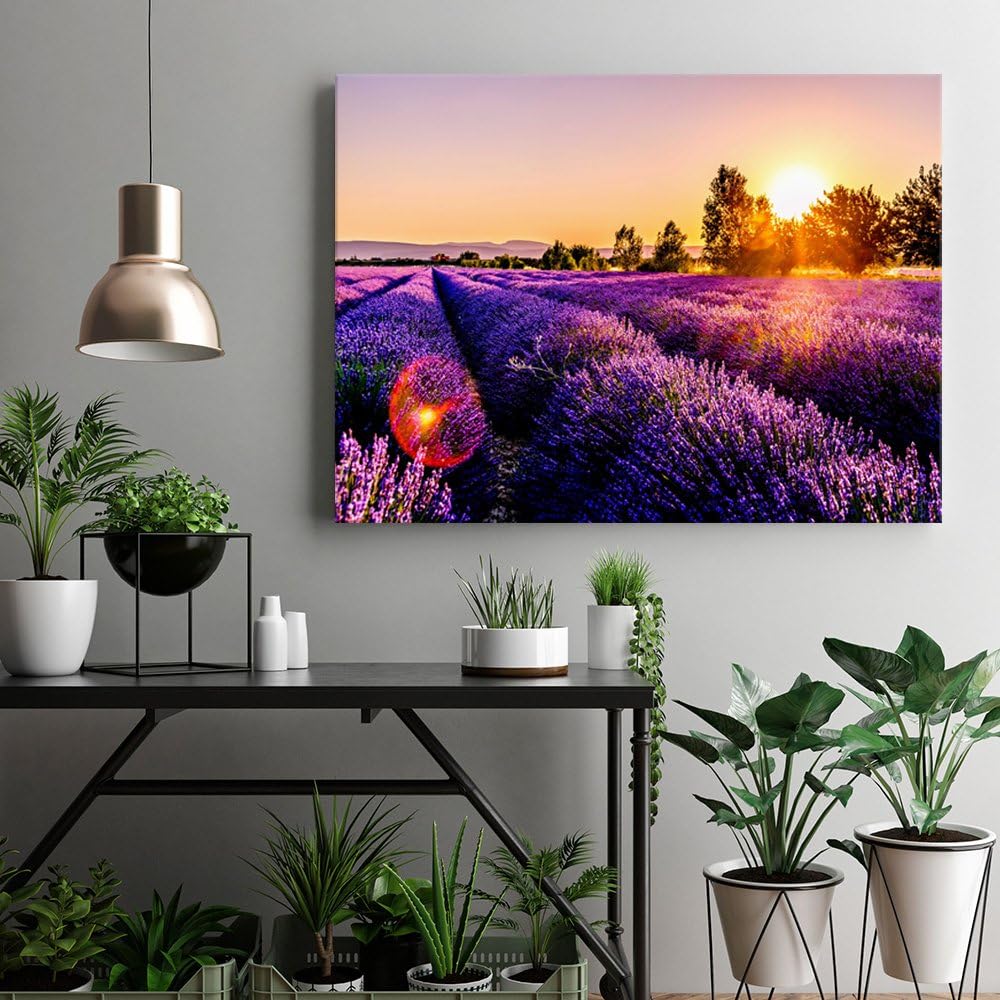 Feeby. Wandbilder - 1 Teilig- 60x90 cm - Bilder Kunstdrucke Deko Panel, Wiese, Lavendel, Natur, VIOL