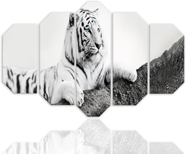 Feeby Wanddeko 5 Teile Tiger Bilder modern schwarz-weiss 150x100 cm Deko Paneel 150x100 cm Schwarz-w