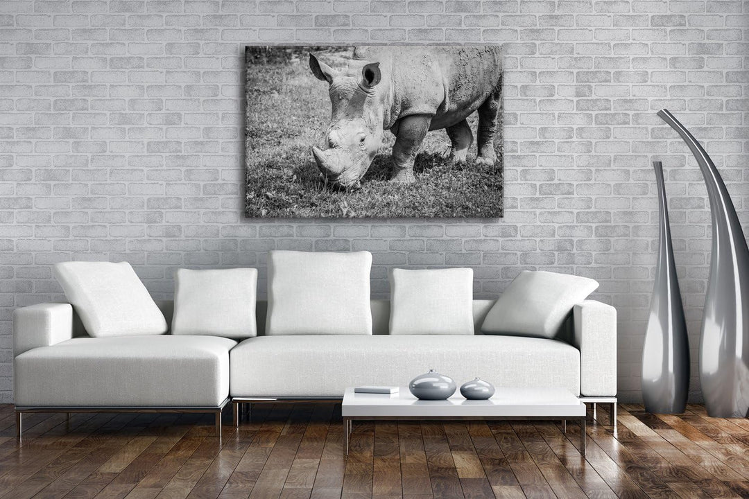 deyoli edles Nashorn Format: 60x40 Effekt: Schwarz/Weiss als Leinwand, Motiv fertig gerahmt auf Echt