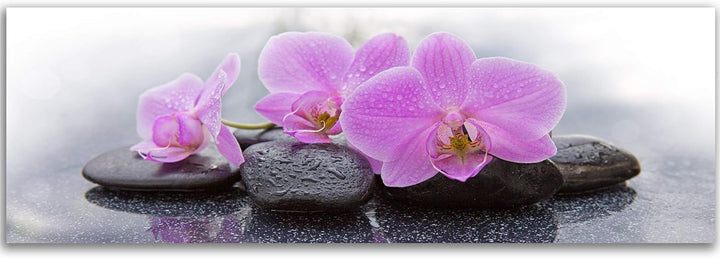Feeby. Leinwandbild, Bilder, Wand Bild, Wandbilder, Kunstdruck 150x60 cm, ZEN, ORCHIDEE, ROSA