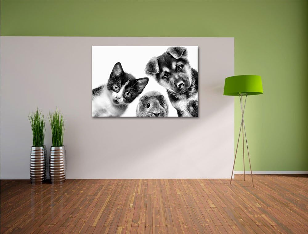 Pixxprint Trio Hund Katze Meerschwein als Leinwandbild/Grösse: 100x70 cm/Wandbild/Kunstdruck/fertig