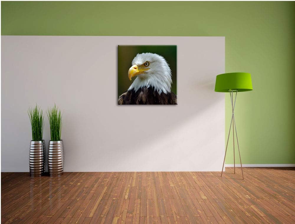 Mächtiger Weisskopfseeadler, Format: 70x70 auf Leinwand, XXL riesige Bilder fertig gerahmt mit Keilr