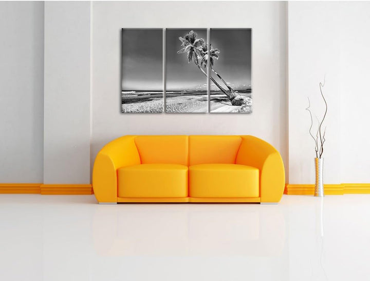 Pixxprint Monocrome, Palmen am Strand 3-Teiler Leinwandbild 120x80 Bild auf Leinwand