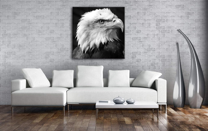 deyoli atemberaubender Weisskopfseeadler im Format: 70x70 Effekt: Schwarz&Weiss als Leinwandbild, Mo