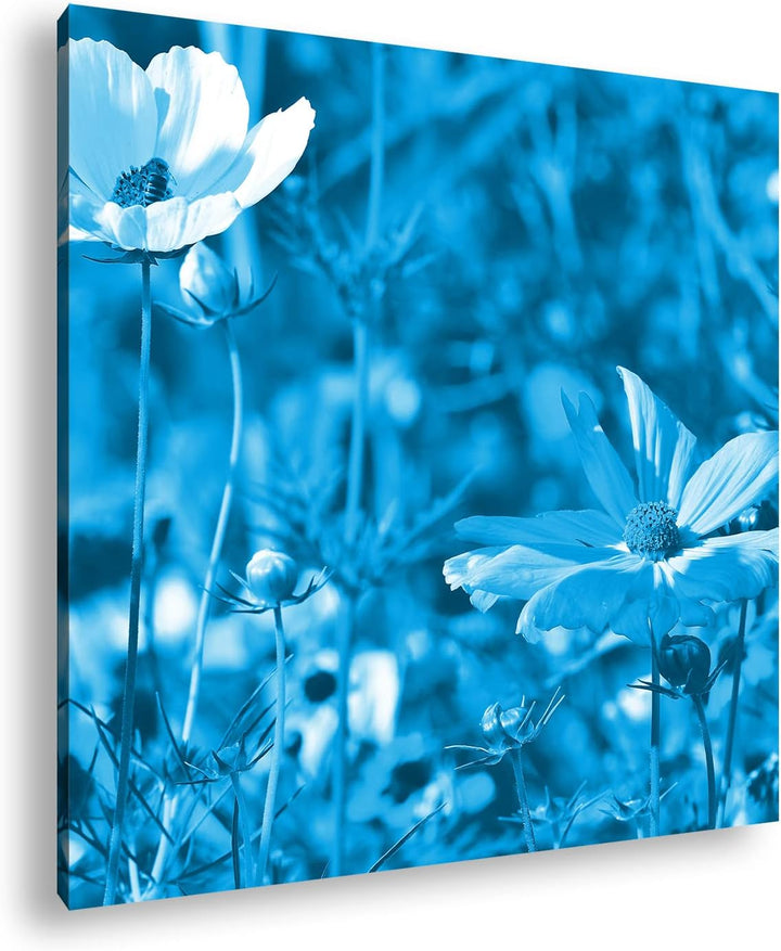 deyoli blühende Blumenwiese Format: 70x70 Effekt: Monocrome Blau als Leinwand, Motiv fertig gerahmt