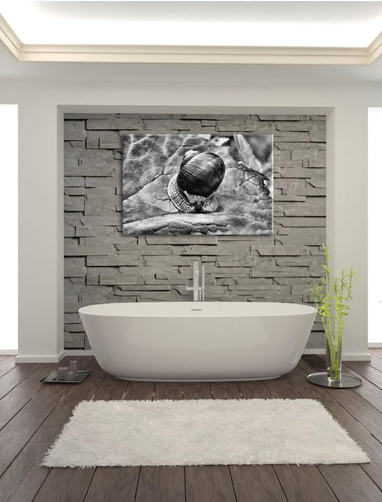 Pixxprint kleine Schnecke mit Schneckenhaus als Leinwandbild/Grösse: 100x70 cm/Wandbild/Kunstdruck/f
