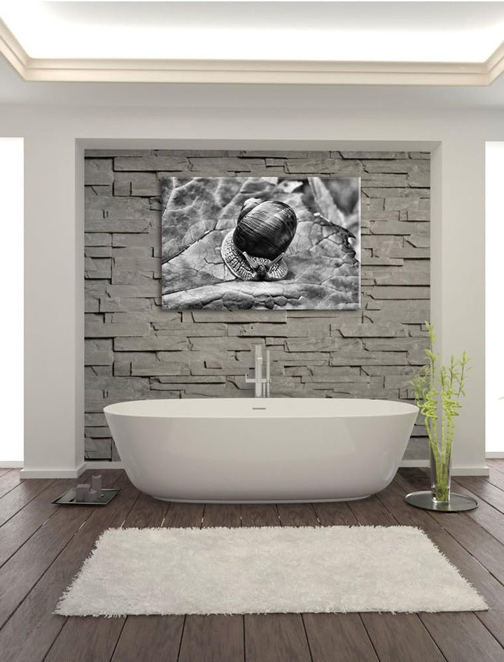 Pixxprint kleine Schnecke mit Schneckenhaus als Leinwandbild/Grösse: 100x70 cm/Wandbild/Kunstdruck/f