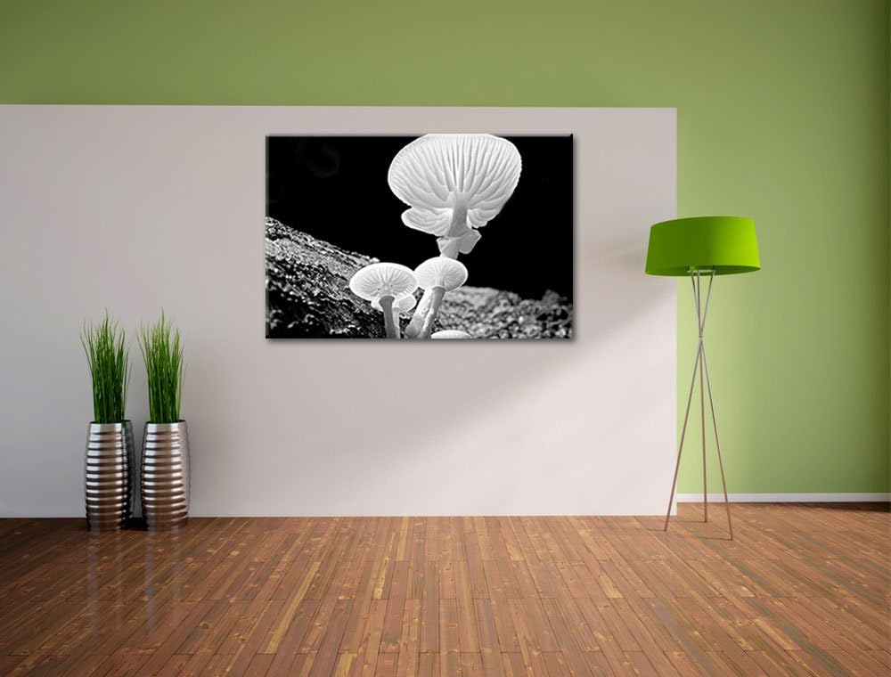 Pixxprint Dark weisse Pilzeauf Leinwand, XXL riesige Bilder fertig gerahmt mit Keilrahmen, Kunstdruc