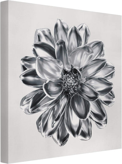 Leinwandbild - Dahlie Blume Silber Metallic 30 x 30cm - Canvas 30cm x 30cm - Canvas, 30cm x 30cm - C