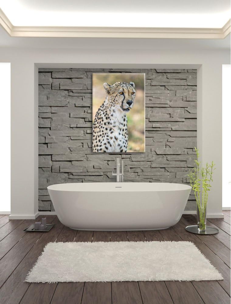 Pixxprint ausgewachsener Gepard auf Leinwand, XXL riesige Bilder fertig gerahmt mit Keilrahmen, Kuns
