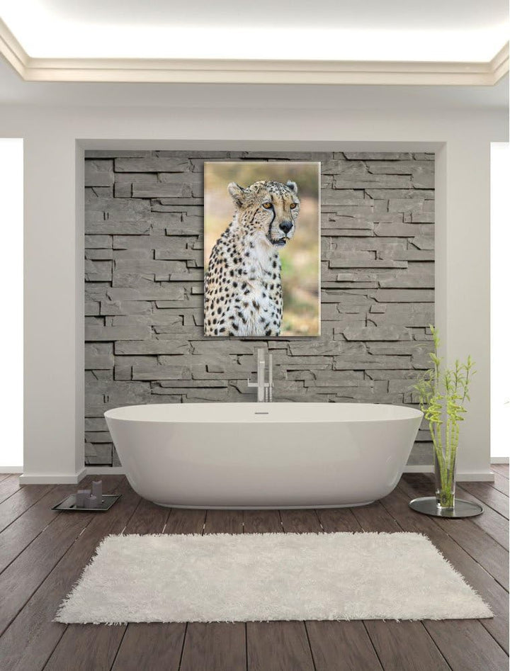 Pixxprint ausgewachsener Gepard auf Leinwand, XXL riesige Bilder fertig gerahmt mit Keilrahmen, Kuns