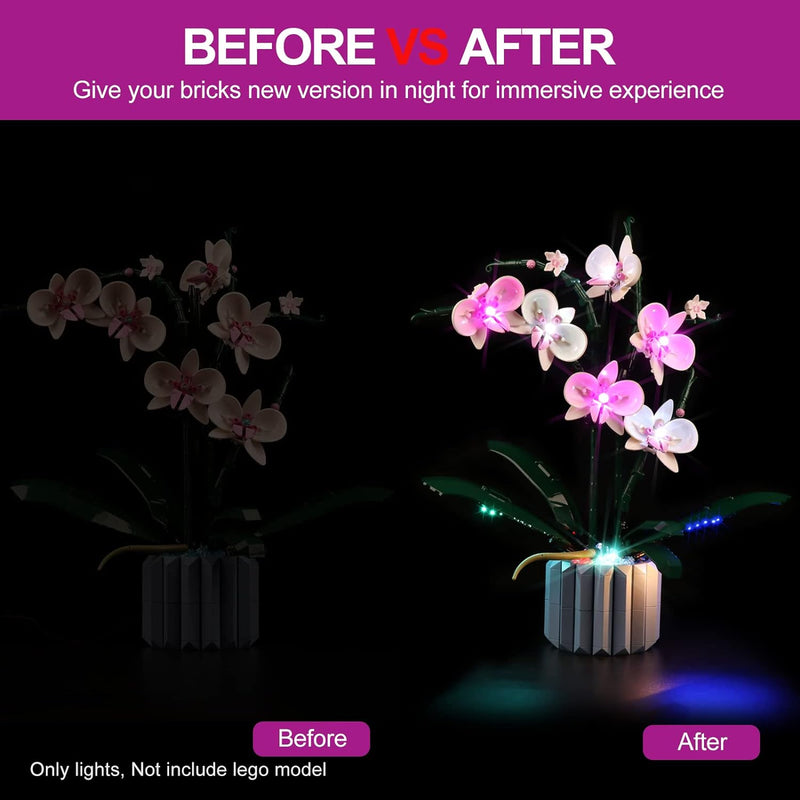 cooldac LED Licht Kit für Lego Icons 10311 Orchidee Set, Led Beleuchtungsset Klang-Control-Version K