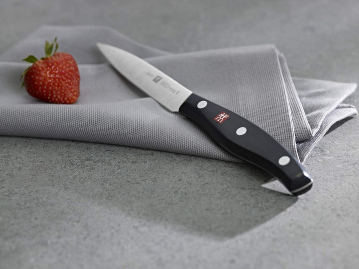 Zwilling 30763-000 Twin Pollux Messerset, Kunststoff-Schalen, 420 x 135 mm, 4-teilig, schwarz & 3072