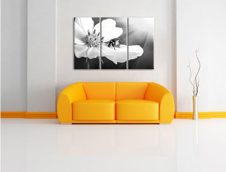 Pixxprint Marienkäfer auf Einer Blume / 3-Teilig/Gesamtmass 120cm Leinwandbild bespannt auf Holzrahm