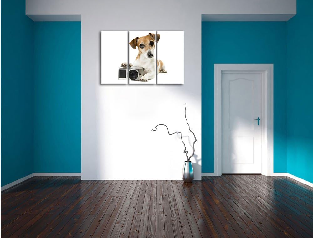 Pixxprint Niedlicher Hundewelpe mit Kamera 3-Teiler Leinwandbild 120x80 Bild auf Leinwand, riesige B