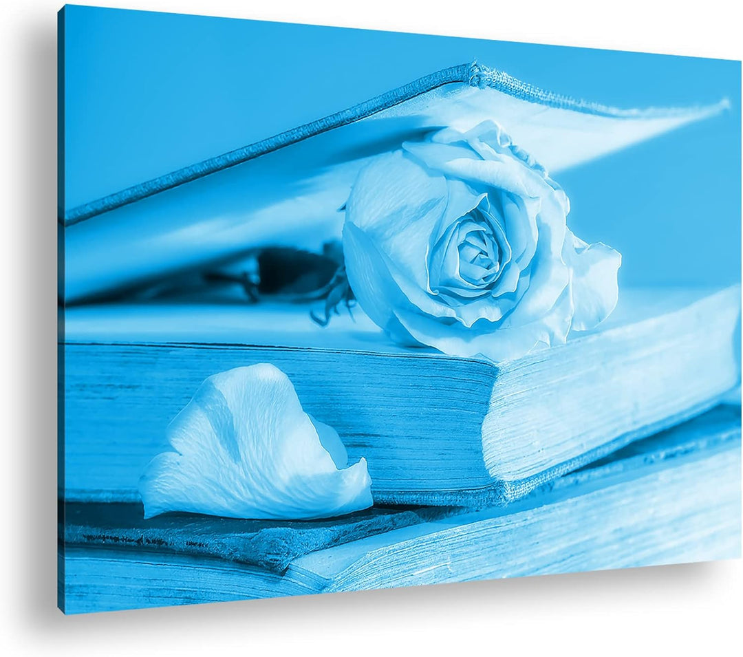 deyoli weisse Rose im Buch Format: 60x40 Effekt: Monocrome Blau als Leinwand, Motiv fertig gerahmt a