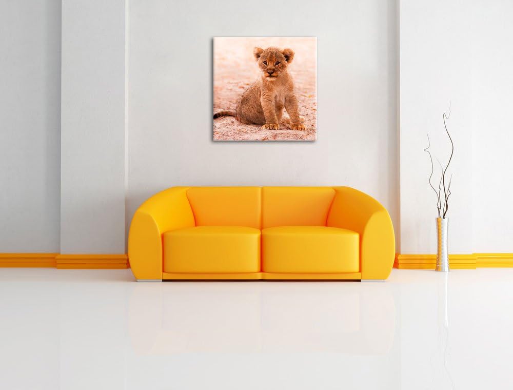 Verlassenes Löwenbaby, Format: 70x70 auf Leinwand, XXL riesige Bilder fertig gerahmt mit Keilrahmen,