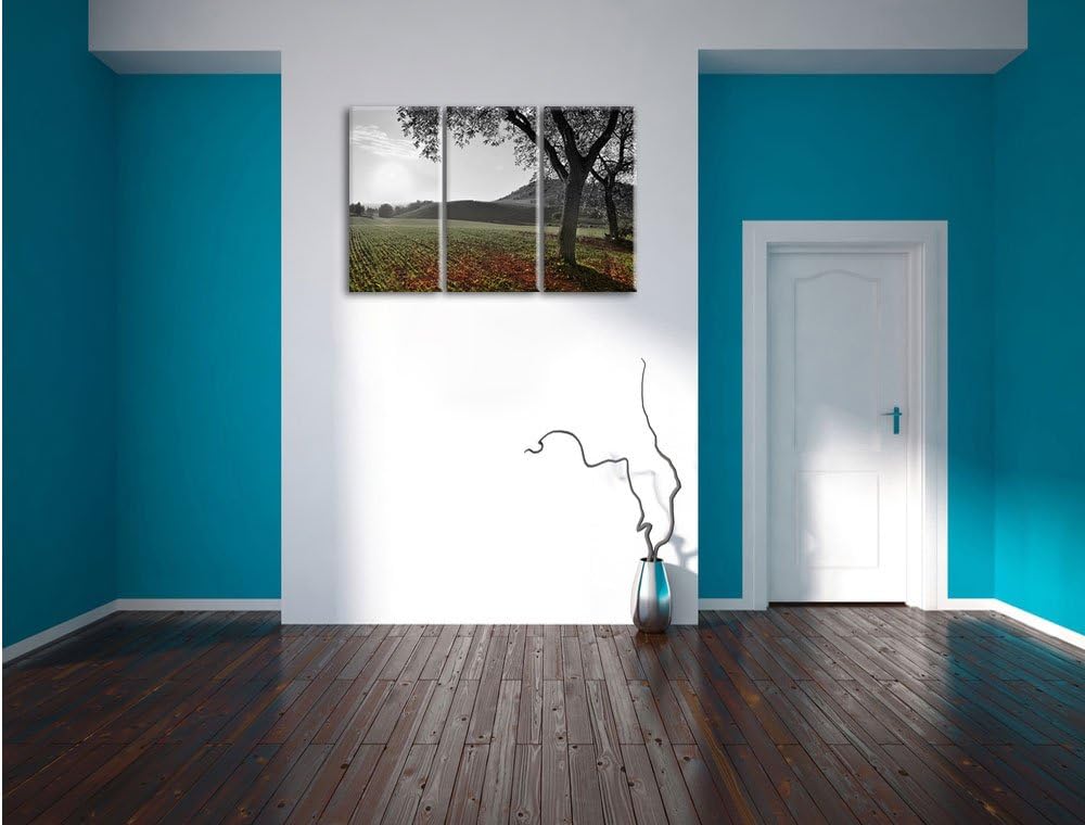 Pixxprint Landschaft im Herbst B&W Detail 3-Teiler Leinwandbild 120x80 Bild auf Leinwand