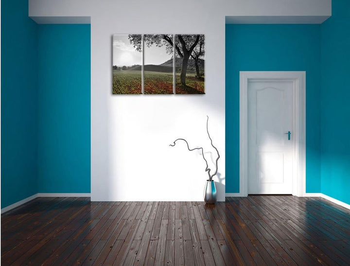 Pixxprint Landschaft im Herbst B&W Detail 3-Teiler Leinwandbild 120x80 Bild auf Leinwand