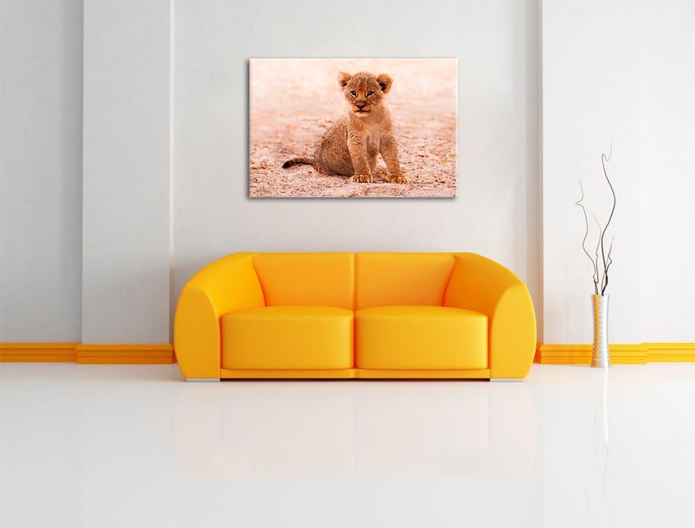 Verlassenes Löwenbaby, Format: 100x70 auf Leinwand, XXL riesige Bilder fertig gerahmt mit Keilrahmen