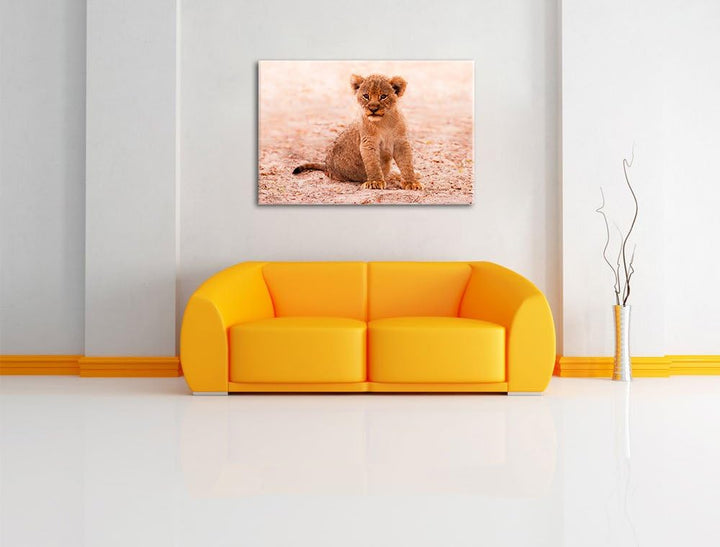 Verlassenes Löwenbaby, Format: 100x70 auf Leinwand, XXL riesige Bilder fertig gerahmt mit Keilrahmen