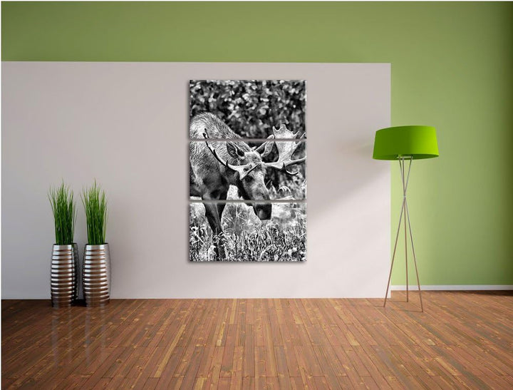 Pixxprint Monocrome, Grosser Elch 3-Teiler Leinwandbild 120x80 Bild auf Leinwand
