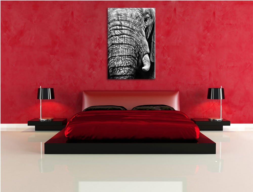 Pixxprint Elefant im Porträt als Leinwandbild | Grösse: 100x70 cm | Wandbild | Kunstdruck | fertig b