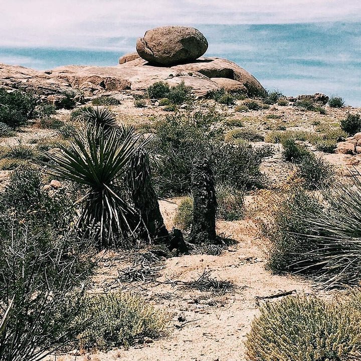 Feeby Deco Panel 5 Teilig Landschaft Bilder Modern Dünen Himmel Wolken bunt 150x100 cm Deco panel 15