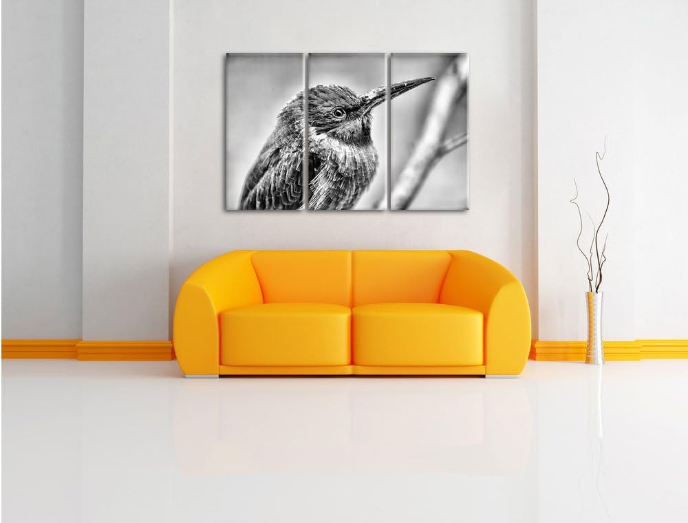 Pixxprint Kleiner tropischer Vogel als Leinwandbild/Grösse: 3 Teilig (120x80) cm/Wandbild/Kunstdruck