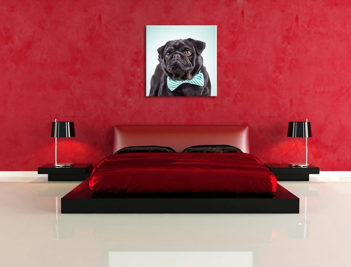 Lustiger Mops mit Fliege, Format: 70x70 auf Leinwand, XXL riesige Bilder fertig gerahmt mit Keilrahm