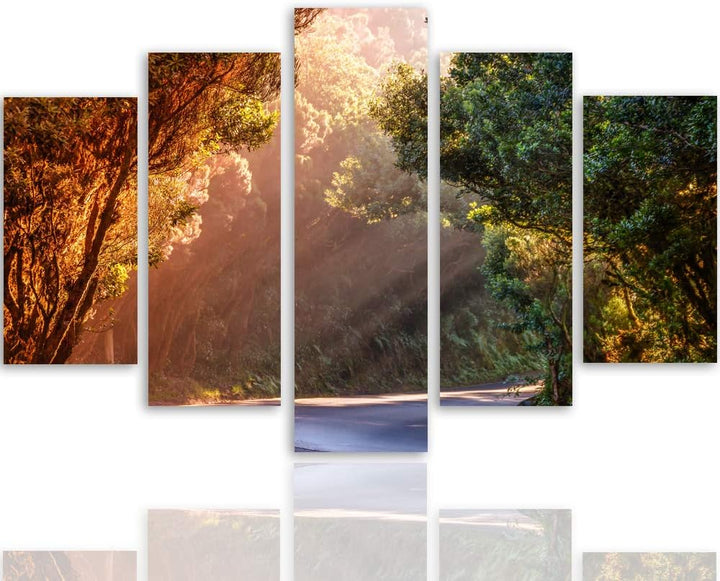 Feeby Wanddeko XXL Landschaft Leinwandbild 5 Teilig Weg Bäume Wald Natur bunt 100x70 cm Leinwandbild