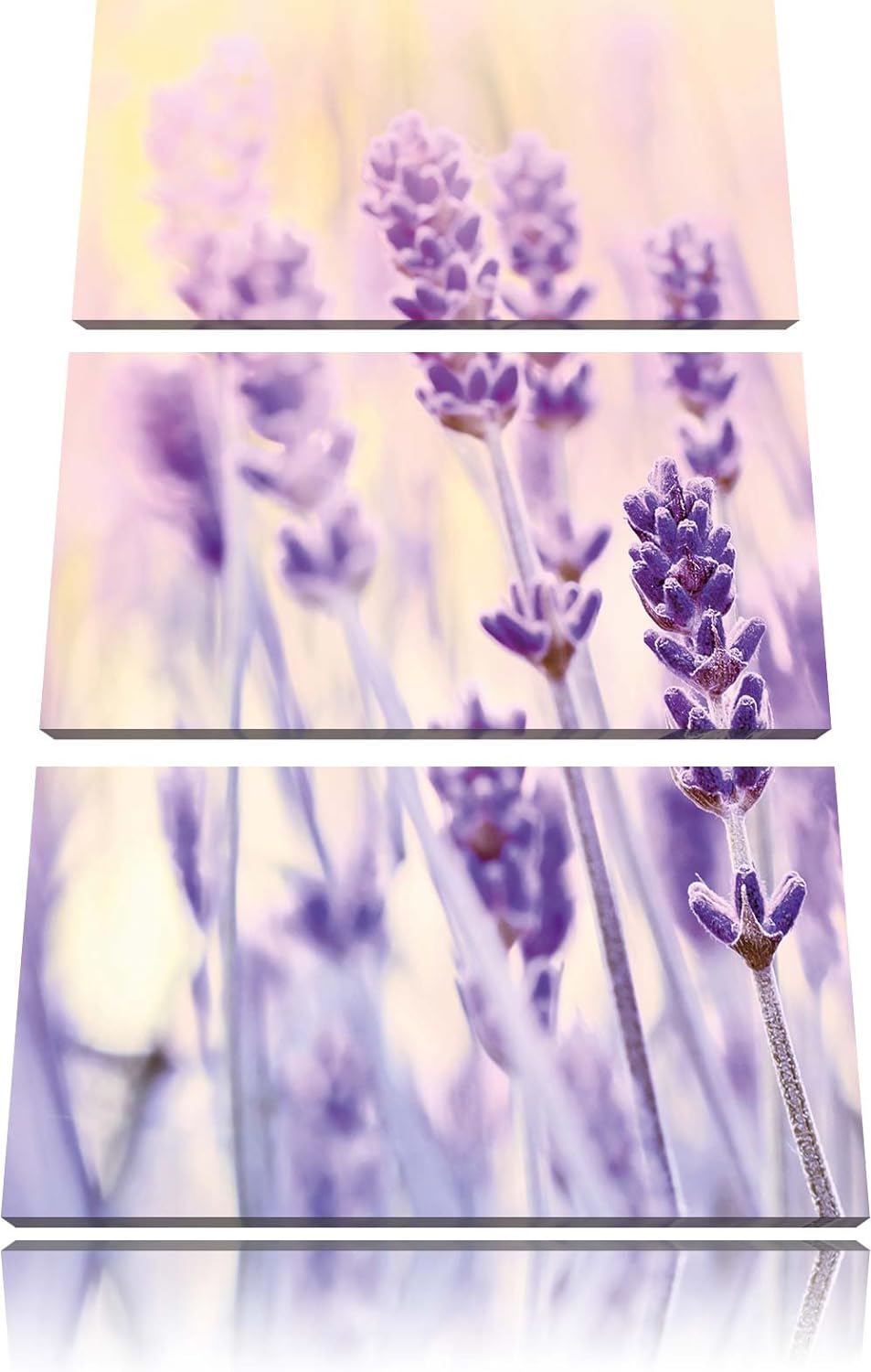 Pixxprint Lavendel / 3-Teilig/Gesamtmass 120cm Leinwandbild bespannt auf Holzrahmen/Wandbild Kunstdr