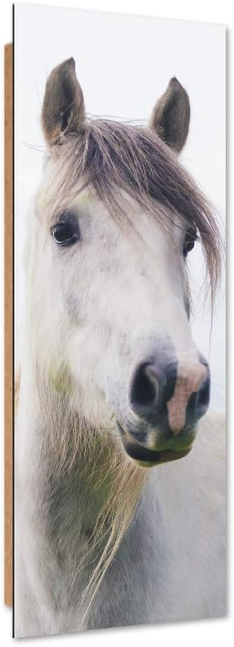 Wandbild Pferd Modern Deko Kunst Bilder Tier Weiss 30x90 cm M14016 30x90 cm, M14016 30x90 cm