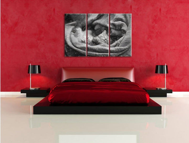 Pixxprint Babykatze als Leinwandbild/Grösse: 3 Teilig (120x80) cm/Wandbild/Kunstdruck/fertig bespann