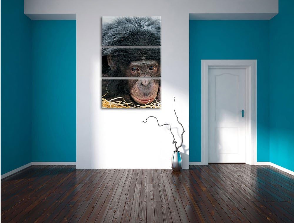 Pixxprint Kleiner Schimpanse im Heu 3-Teiler Leinwandbild 120x80 Bild auf Leinwand