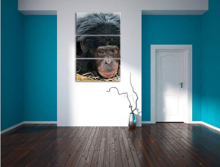 Pixxprint Kleiner Schimpanse im Heu 3-Teiler Leinwandbild 120x80 Bild auf Leinwand