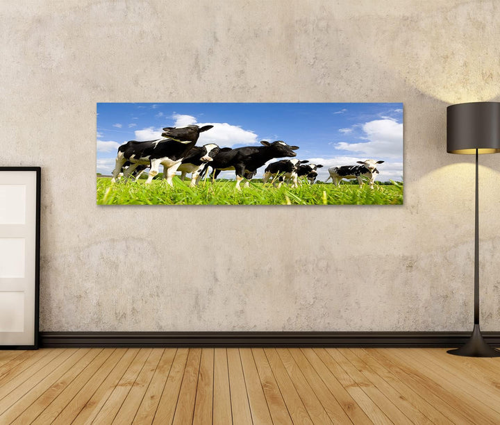 islandburner Bild auf Leinwand Holstein Kühe Auf Der Wiese Wandbild Poster Kunstdruck Bilder Format: