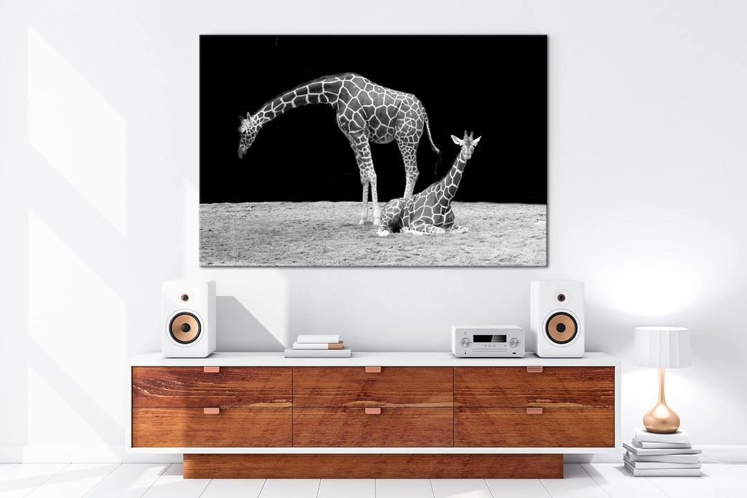 deyoli Dark entspannte Giraffen Format: 100x70 als Leinwand, Motiv fertig gerahmt auf Echtholzrahmen