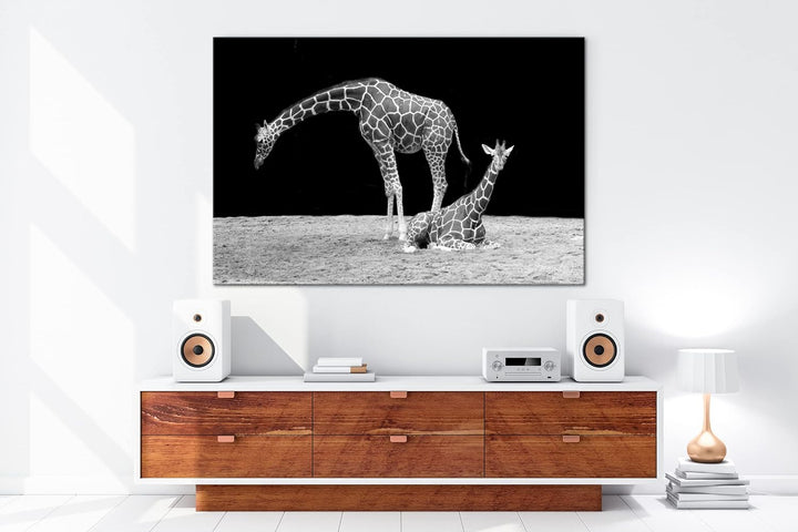 deyoli Dark entspannte Giraffen Format: 100x70 als Leinwand, Motiv fertig gerahmt auf Echtholzrahmen