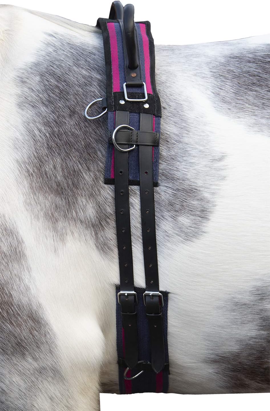 HKM Longiergurt Canvas mit Doppelgriff (Mini Shetty, Navy/Passion pink) navy/passion pink Mini Shett