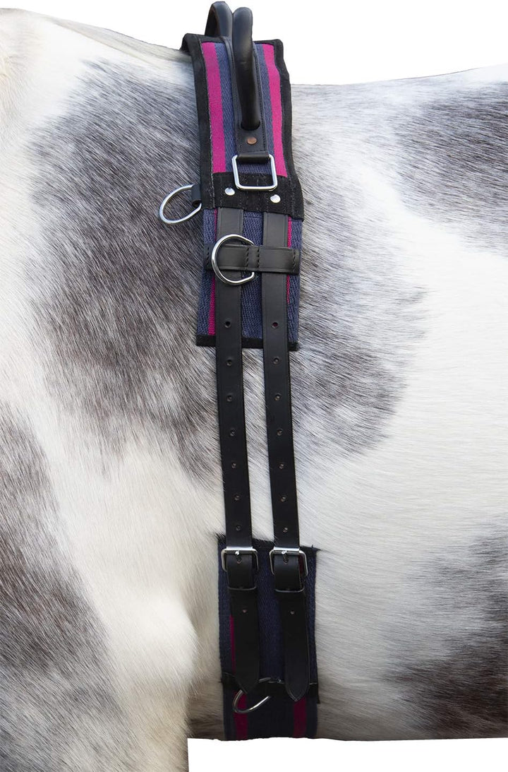 HKM Longiergurt Canvas mit Doppelgriff (Mini Shetty, Navy/Passion pink) navy/passion pink Mini Shett