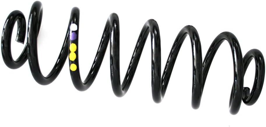 SKF VKDL 31001 Fahrwerksfeder kit