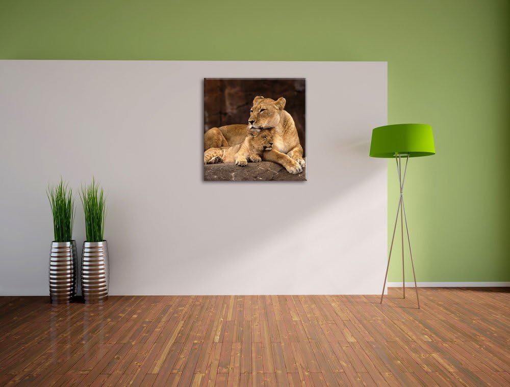 Pixxprint Löwe mit Löwenjungen als Leinwandbild Quadratisch/Grösse: 70x70 / Wandbild/Kunstdruck/fert