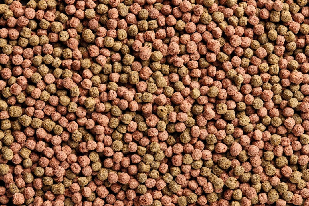 OASE Dynamix Koi Pellet gross 8 L, Fischfutter, Koifutter, Teichfischfutter, 7- 8 mm grosse Pellets,